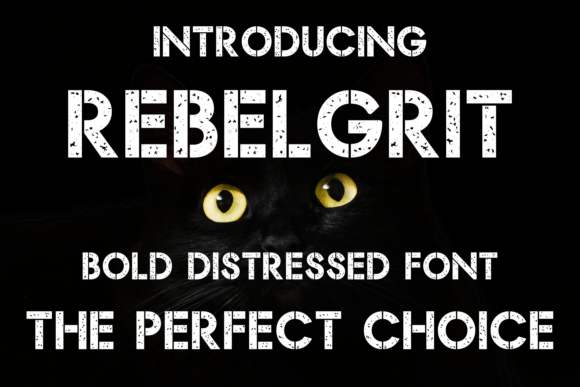 Rebel Grit Font for Bold Web Design