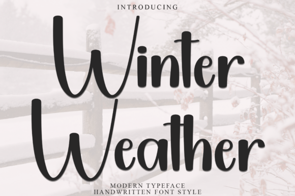 Winter Weather Typeface: Festive Display Fonts for Holidays